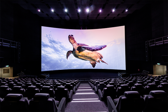 Ein Kino mit schwarzen Sitzreihen und einer grossen gebogenen Leinwand, auf der eine schwimmende Meeresschildkröte vor einem Unterwasserhintergrund zu sehen ist.