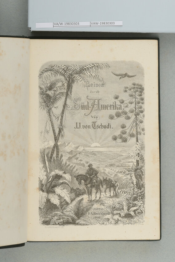 Titelblattillustration von „Reisen durch Süd-Amerika“ von W. von Tschudi, die einen Reisenden zu Pferd inmitten tropischer Flora zeigt.