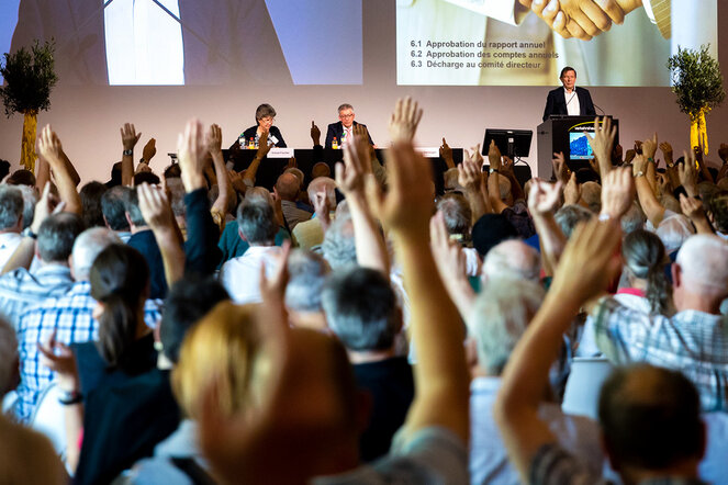 Eine Abstimmung an der Mitgliederversammlung im Verkehrshaus der Schweiz.
